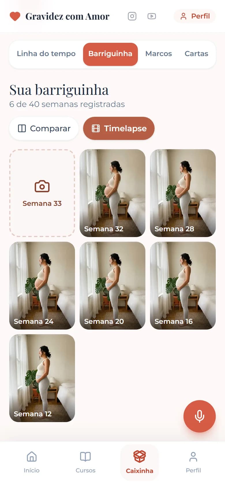Galeria de fotos da barriga semana a semana no diário