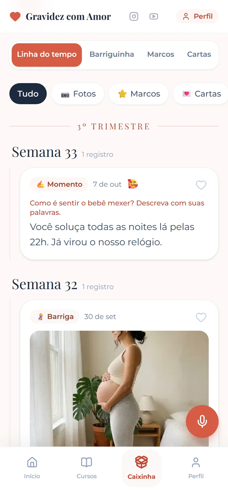 Linha do tempo do diário organizada por trimestre e semana